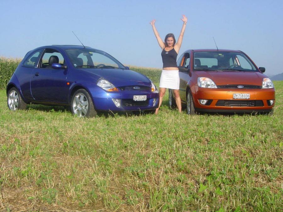  Ford Fiesta 2003 года  (фото 3 из 142)